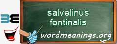 WordMeaning blackboard for salvelinus fontinalis